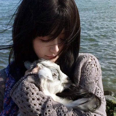 南拳蔡李佛粤语